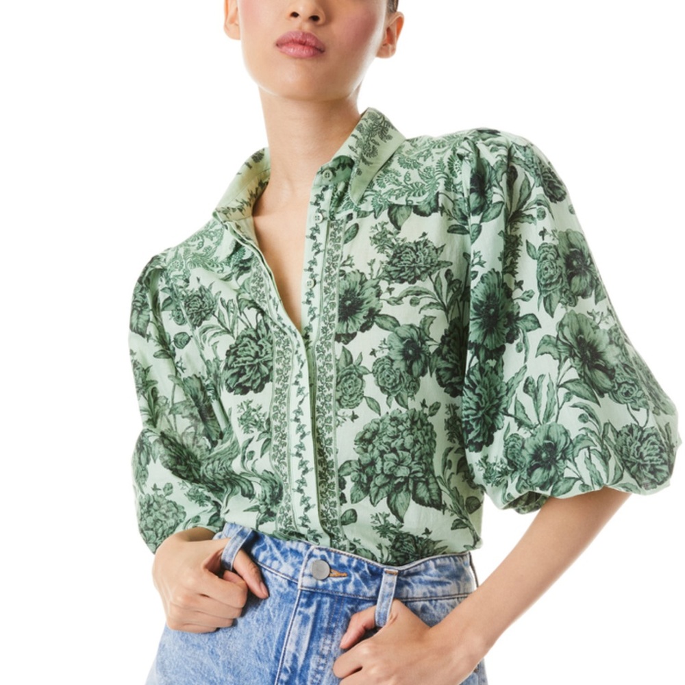 Alice & Olivia Tiffie Drama Sleeve Blouse | size M